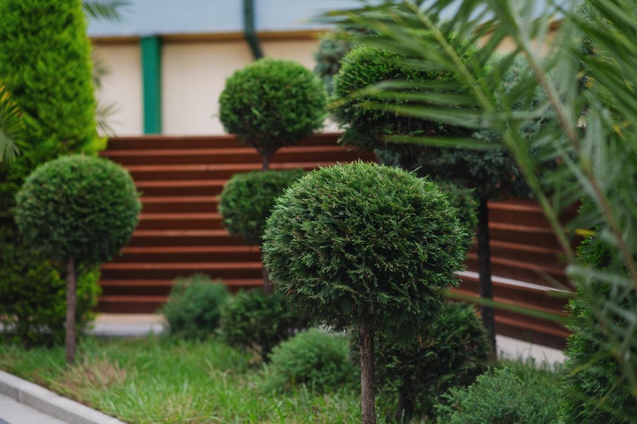 Ritsa Resort Ureki Εξωτερικό φωτογραφία
